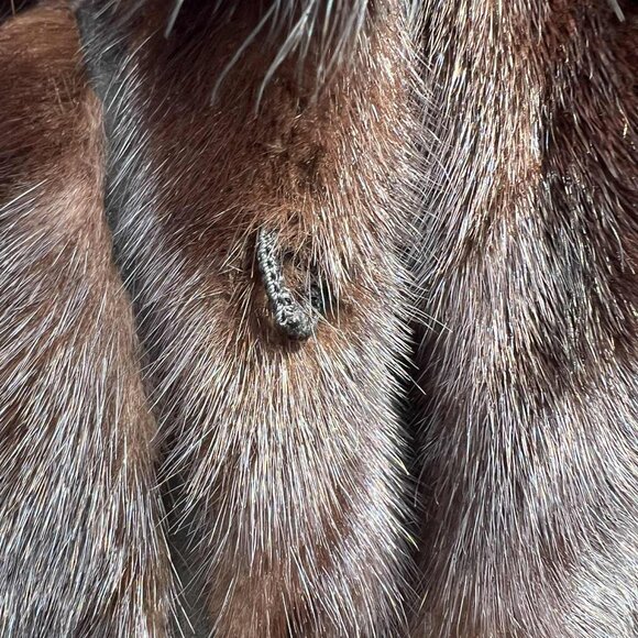 Vintage Rhomberg's Mink and Fox Fur Coat with Removable Fox Fur Bottom Trim - Picture 11 of 15